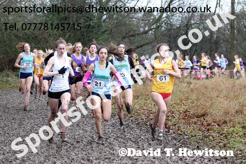 Senior girls Northern Inter Counties Schools Cross Country, Stockton. Photo: David T. Hewitson/Sports for All Pics